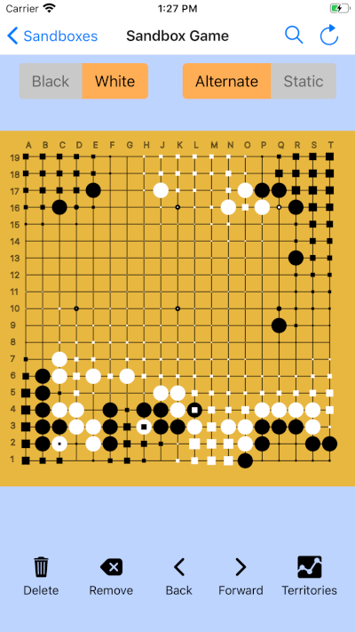 Professional go game opening with territories